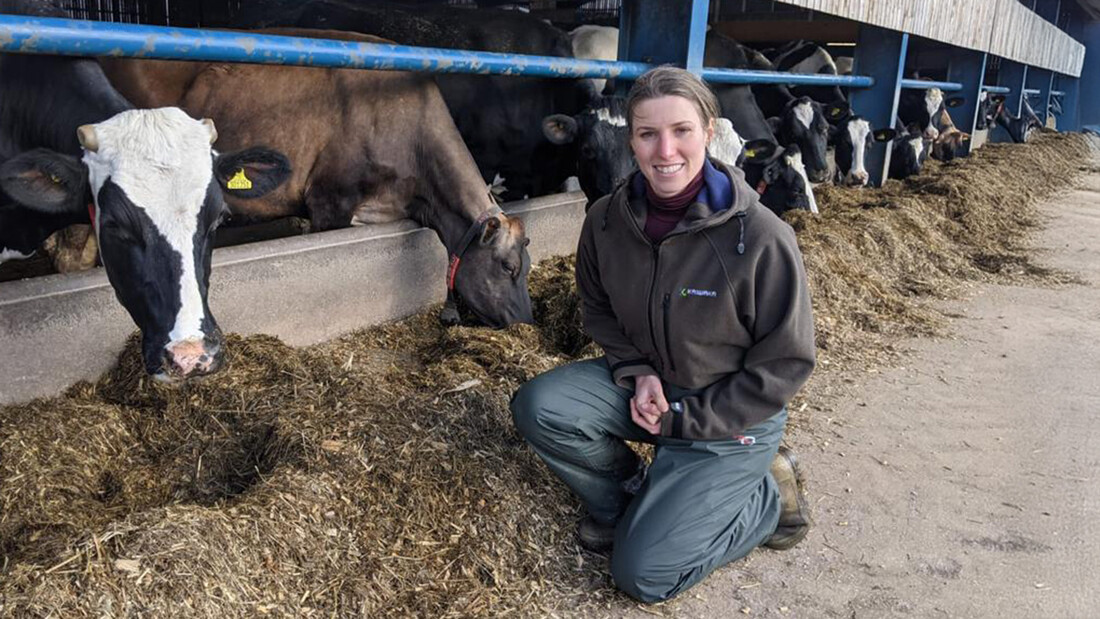 De dierenarts van Yorkshire